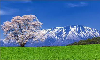 地域活性化イベント